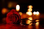 user807 pic3038 1273235023 thumb