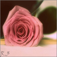 t74t d09a0084d7