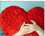 user5125 pic296 1246804249