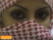 7819542 3SL com[1]