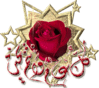 thumb eadi rose
